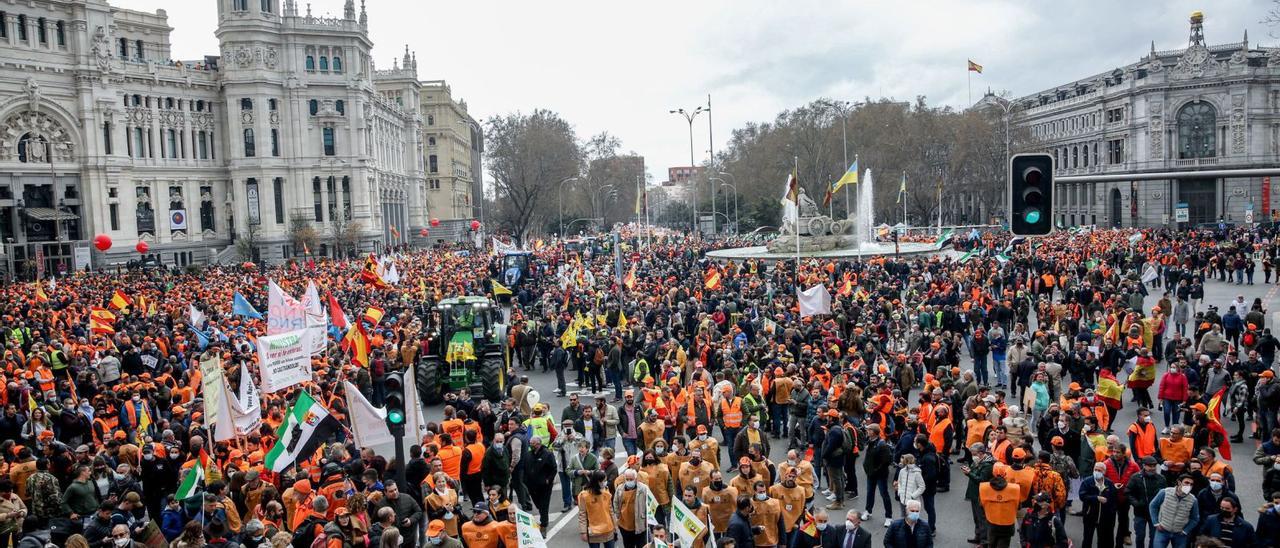 Miles de agricultores y ganaderos de toda España pidieron ayer en Madrid medidas para hacer frente al incremento de los costes de producción | EP