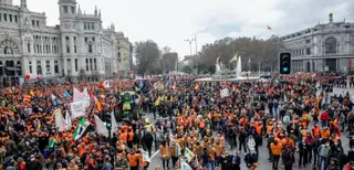 El campo murciano se deja notar en la gran marea en defensa del mundo rural
