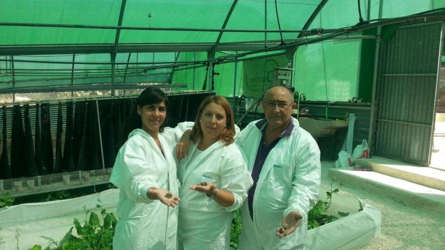 Un grupo de helicicultores en una granja de Villanueva del Trabuco.