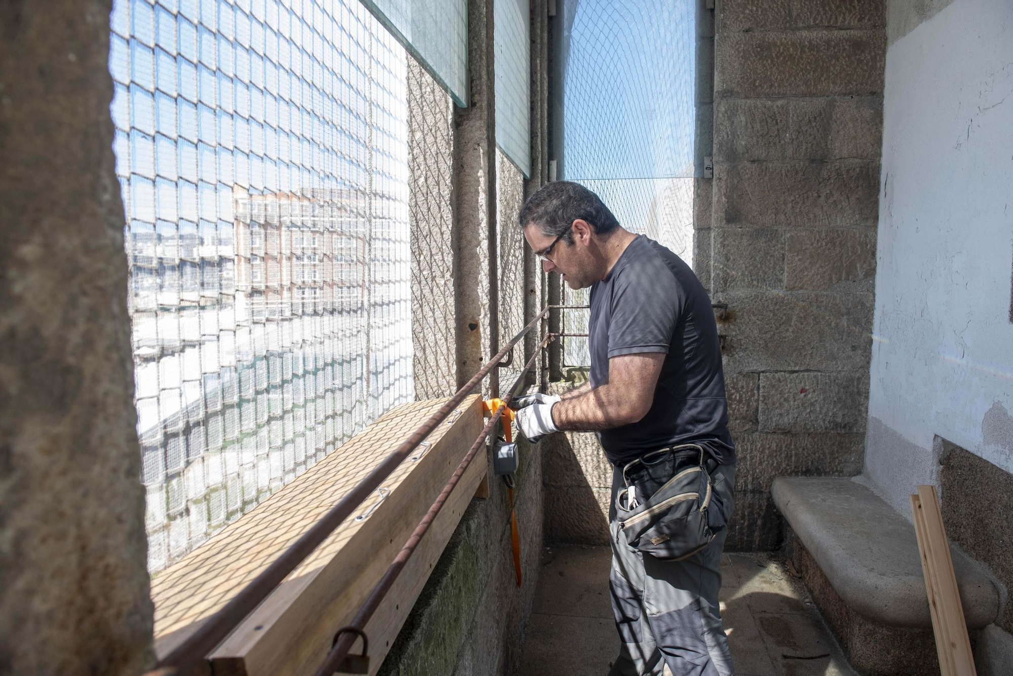 Nuevos hogares para los vencejos en el jardín de San Carlos
