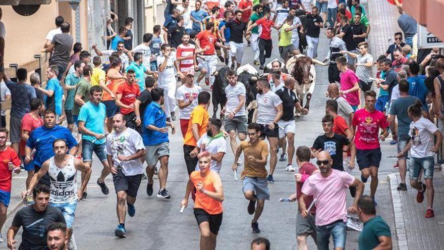 Lucimiento en el encierro grande de les Penyes en Festes de la Vall