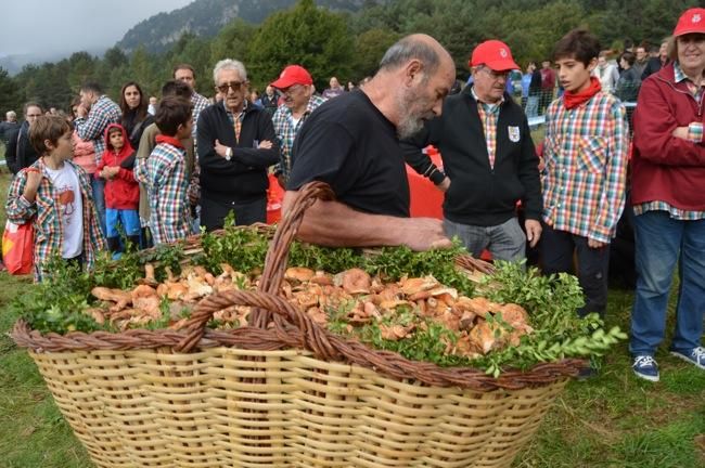 Concurs de bolets de Berga