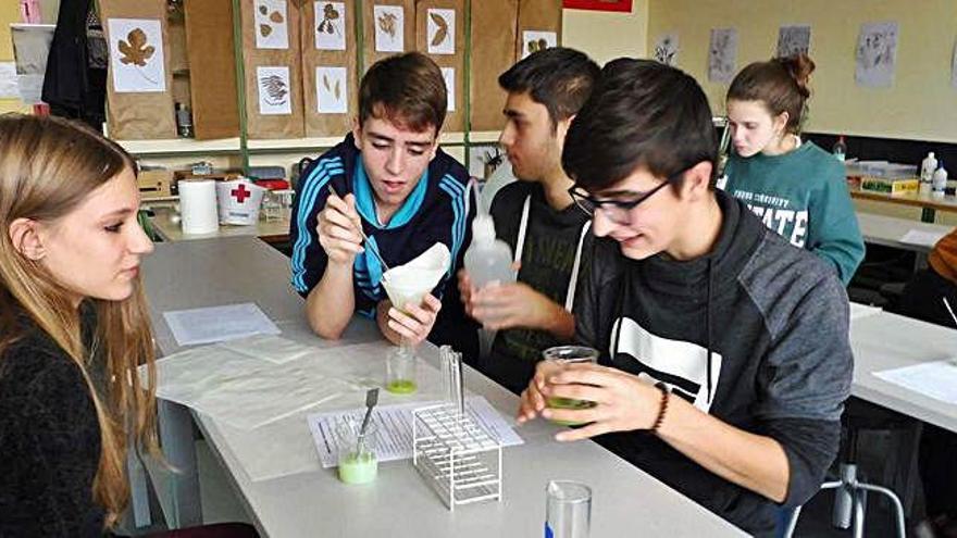 Alumnos del IESO Los Salados en distintos talleres sobre ciencia.