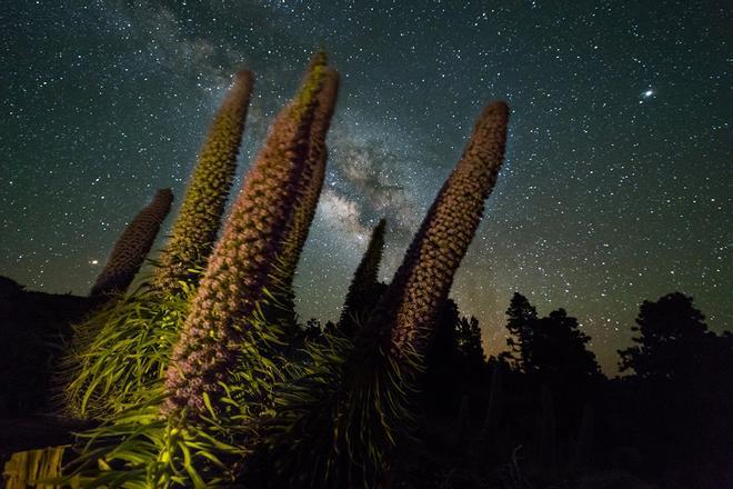 Astroturismo La Palma