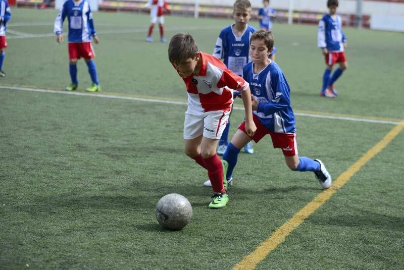 FÚTBOL: Hernán Cortés - San Gregorio (1ª Alevín grupo 2)