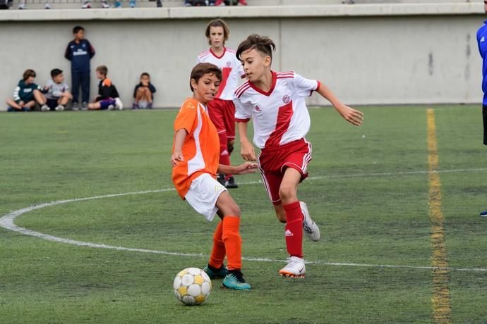 Acodetti-Huracán (alevines)