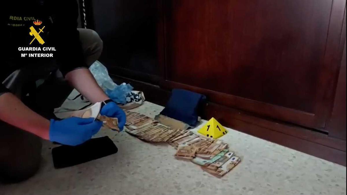 Cae una red de tráfico ilegal de especies exóticas entre Sevilla y Gran Canaria
