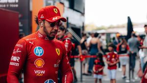 Lewis Hamilton entrando al box en el Gran Premio de Hungría