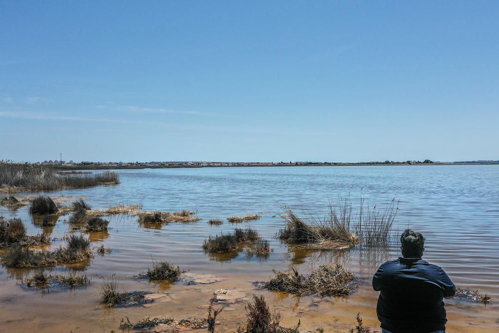 Las aguas de las salinas de Torrevieja perdieron el rosa en febrero. Normalmente es un cambio puntual. Pero este año a las puertas de verano siguen igual. Los episodios de lluvias torrenciales tienen