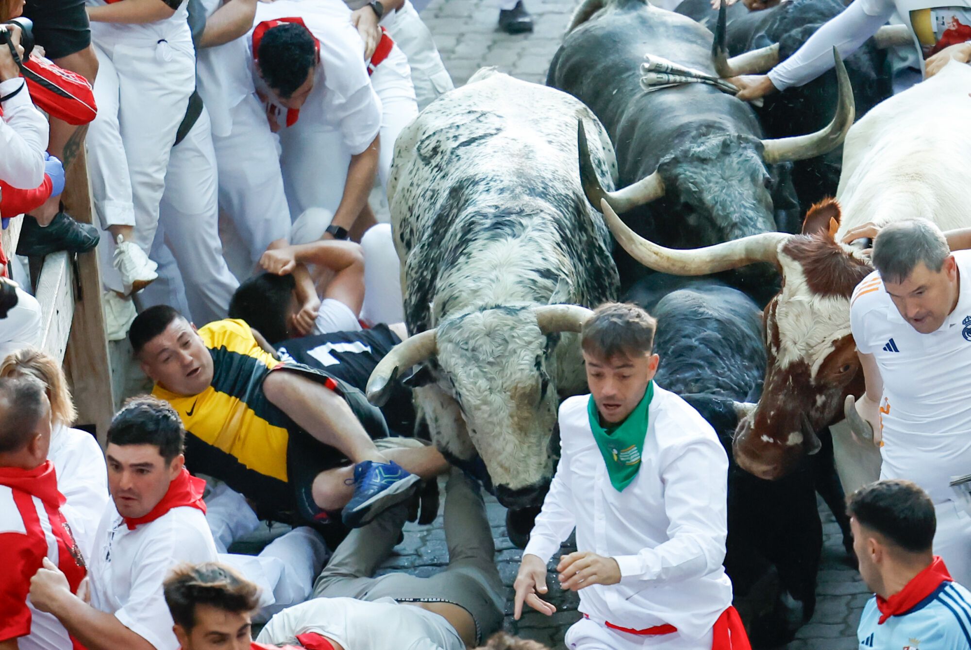 PAMPLONA, 08/07/2025.- Varios corredores son perseguidos por los toros de la ganadería Cebada Gago durante el segundo encierro de los Sanfermines este martes, en Pamplona. EFE/ Jesús Diges