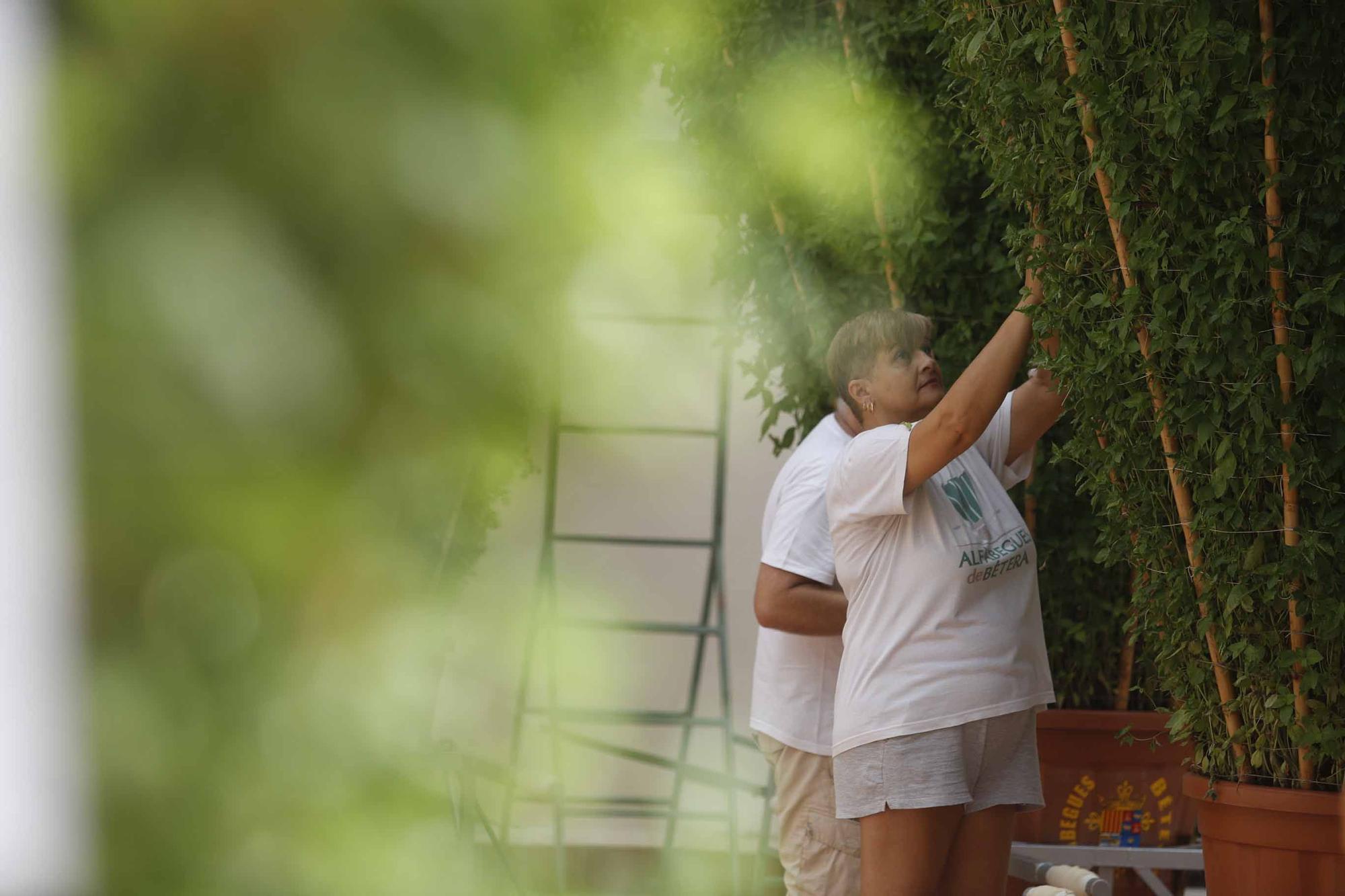 Las alfàguebes de Bétera marcan un nuevo Record Guinness