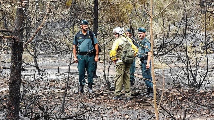 Extinguido el incendio forestal en Formentera