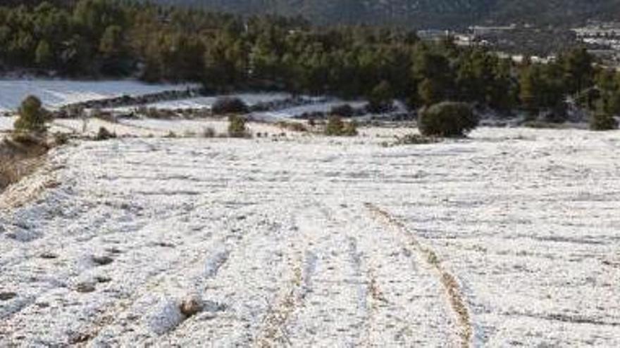 Suspenden las clases hoy y mañana en las pedanías altas de Moratalla