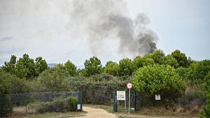 Incendi en la Ricarda