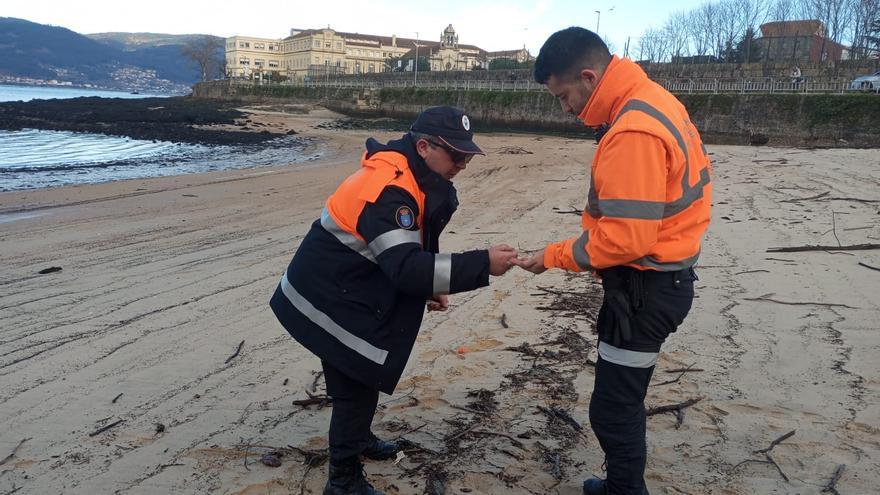 Llegan los pélets a Pontevedra: aparecen en la playa de Praceres