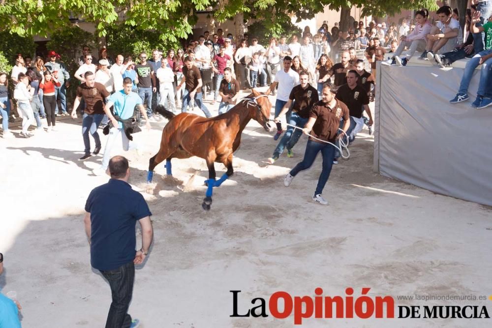 Día uno de mayo, entrada de caballos al Hoyo