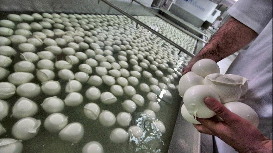 Un trabajador prepara mozzarella de búfala en una granja de Marcianise, en la región italiana de Campania. EFE/CESARE ABBATE