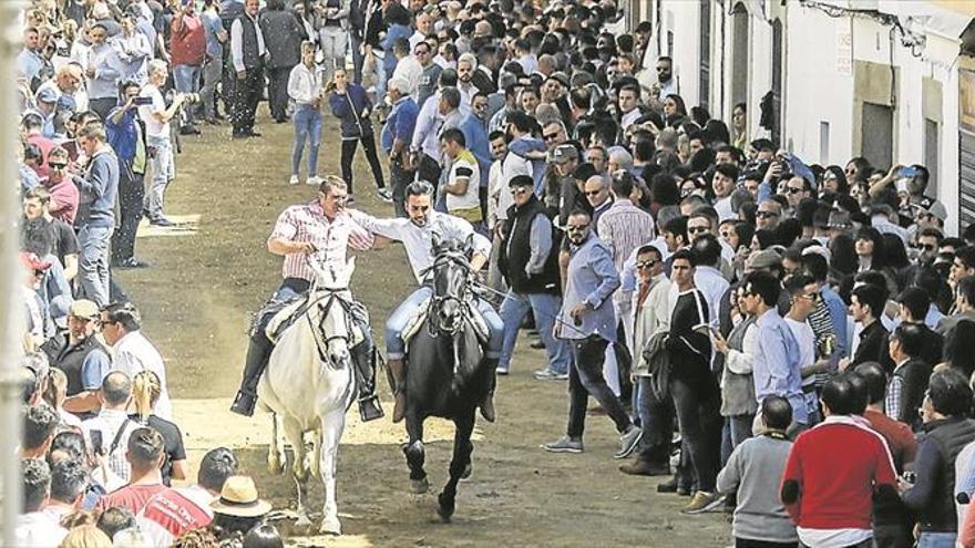 Multitudinaria afluencia en Arroyo, que celebra su tradicional carrera de caballos