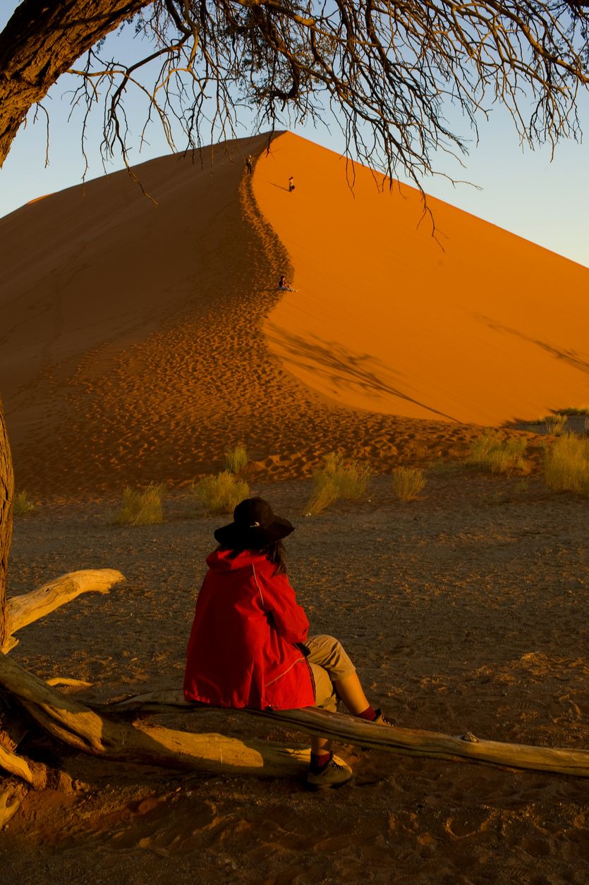 Observando la Duna 45.