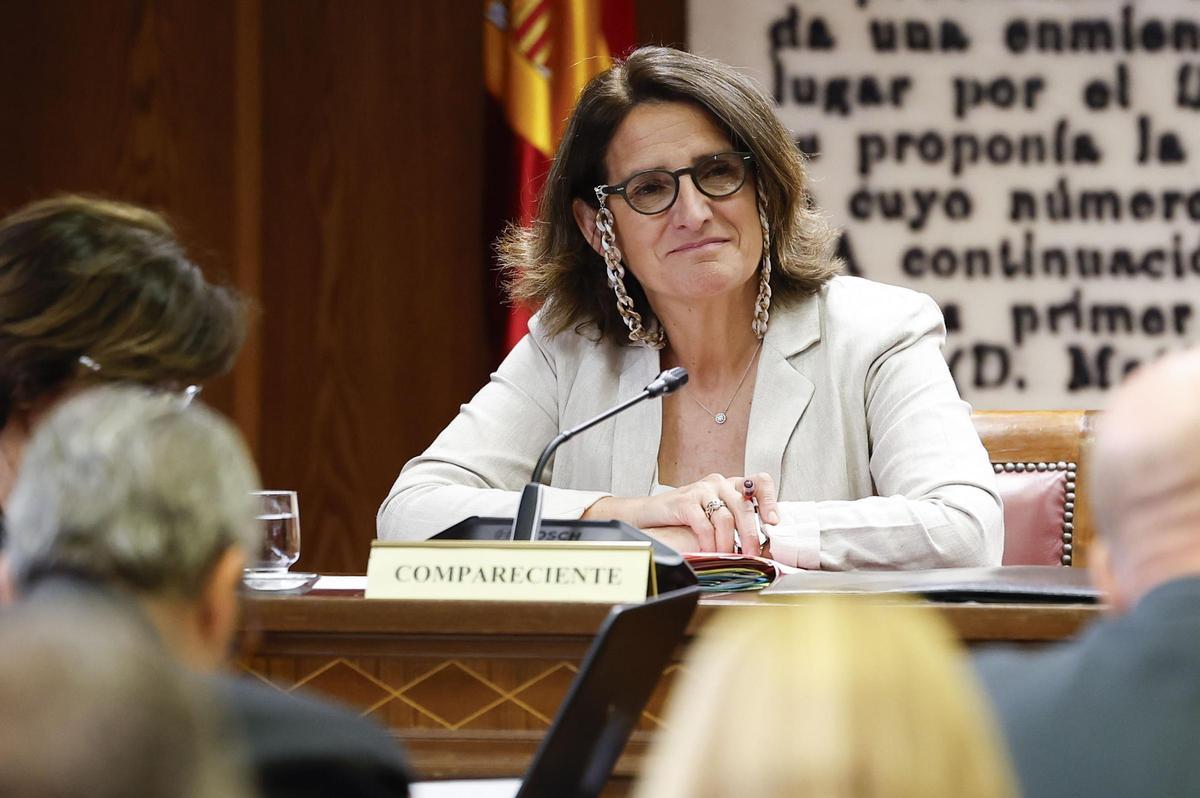 Ribera asegura que su relación con la trama de hidrocarburos fue "igual a cero"