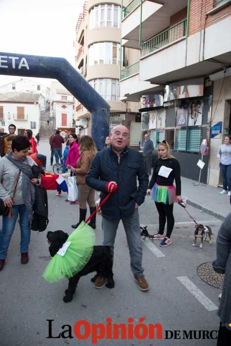 II Carnavaton en Cehegín