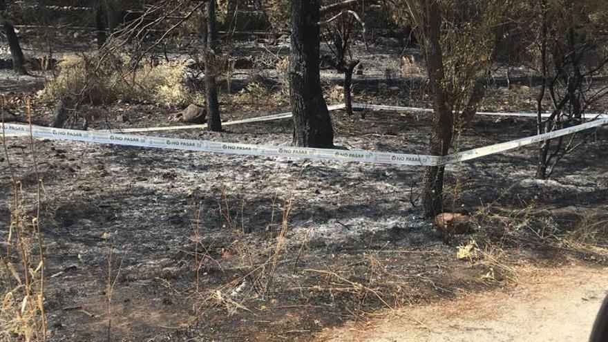 El punto de origen del fuego, acotado por la Guardia Civil