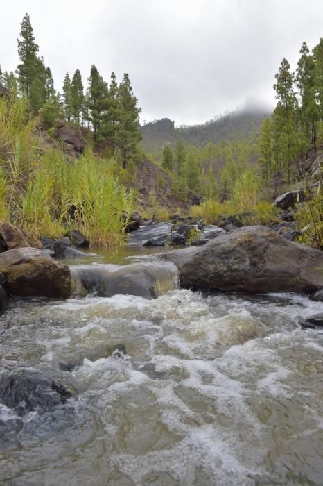 Reportaje lluvias, presa de Chira