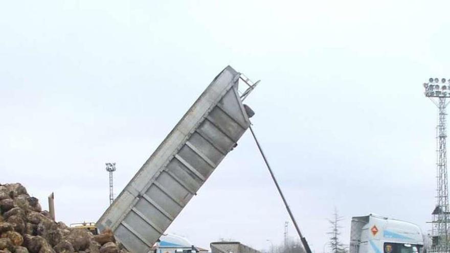 Un camión carga remolacha en las instalaciones de la fábrica. Foto