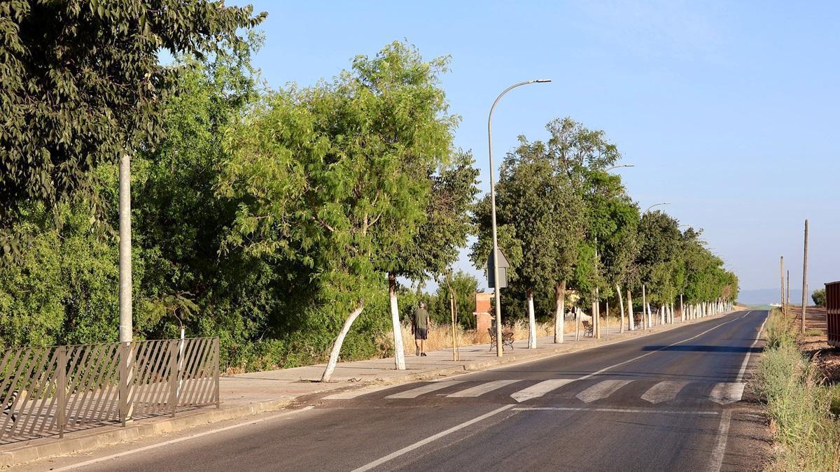 A cargo del PFEA 2026 también está previsto hacer un sendero peatonal accesible en la avenida Palma del Río, en el entorno de la piscina municipal.