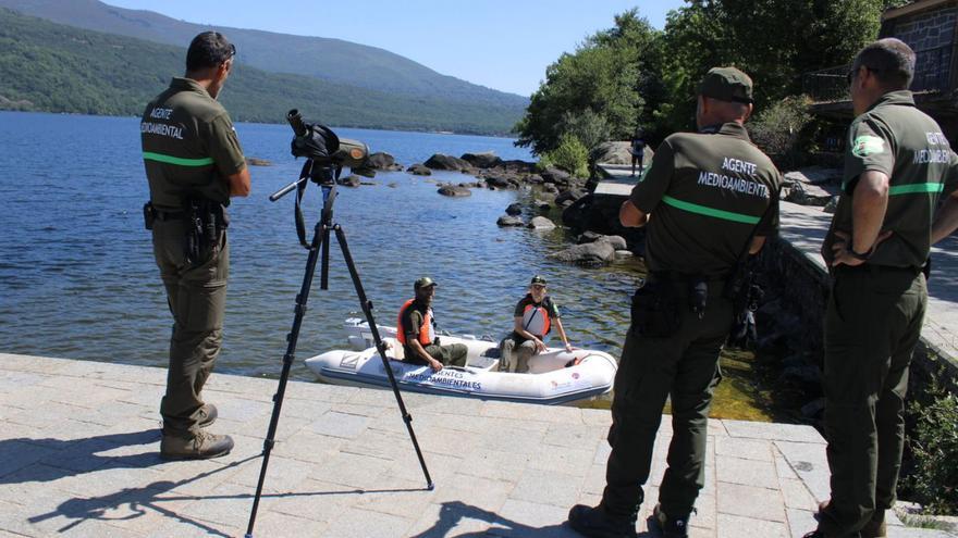 Agentes Medioambientales desplegados en la zona del Lago de Sanabria. | Araceli Saavedra