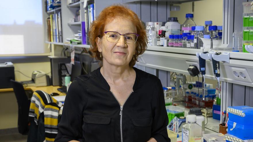 Margarita del Val, investigadora del Centro de Biología Molecular Severo Ochoa (CSIC-UAM).