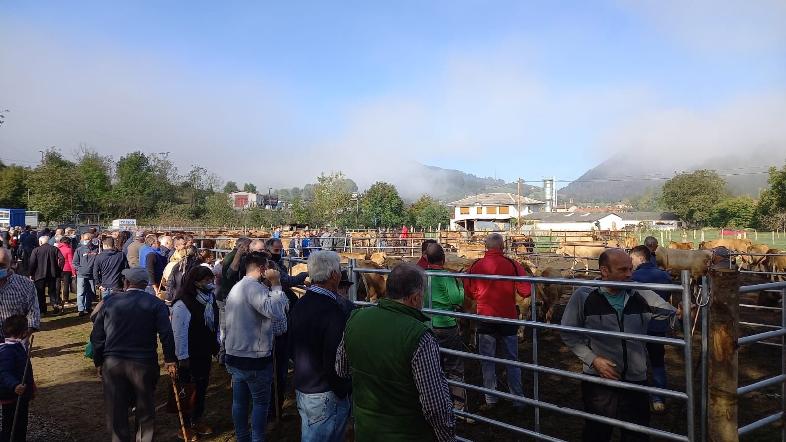 Así fue la feria de Santa Teresa en Piloña: mucha participación pero precios bajos