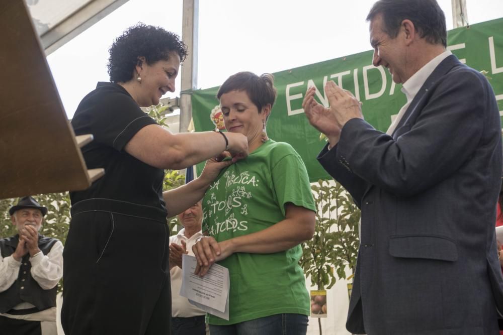 La Festa da Sidra de la parroquia viguesa rompe todas la previsiones, con más de 5.000 asistentes, 1.200 litros del brebaje despachados y 6.000 botellas vendidas. El ANPA Bene Vivere, manzana de oro.