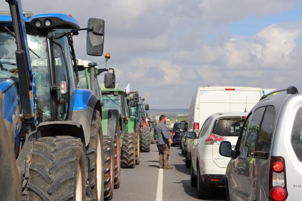 Tractorada de los agricultores y ganaderos malagueños contra los precios bajos que impone la industria.