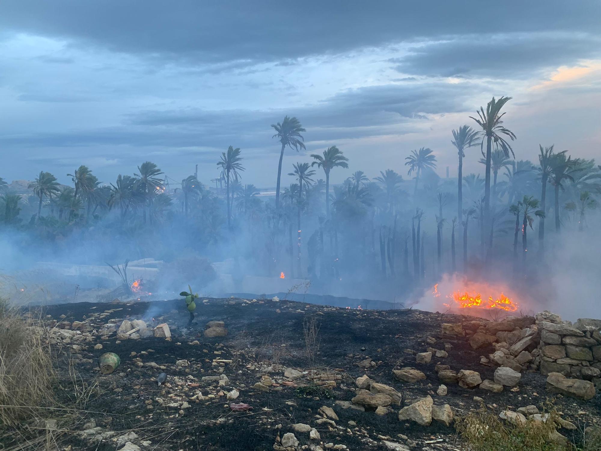 Así ha sido el fuego junto a El Palmeral de Alicante