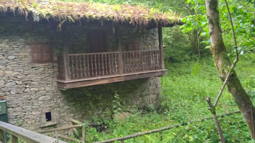 Maleza en torno al Molín de Salvadora. | IU