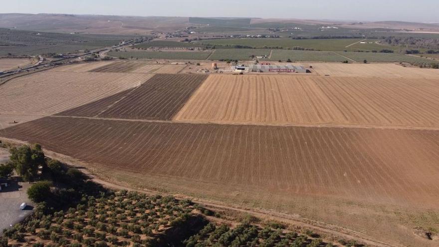 Terrenos en los que irá la base logística y el parque empresarial.