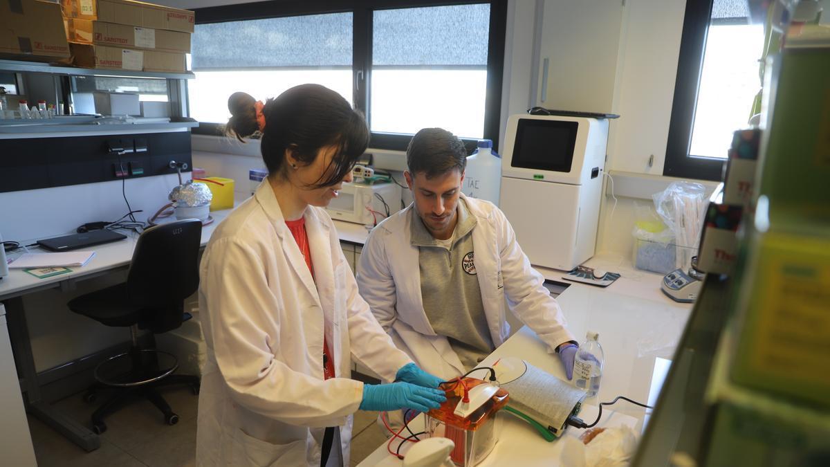 investigadores del Imibic que trabajan en cáncer de hígado.