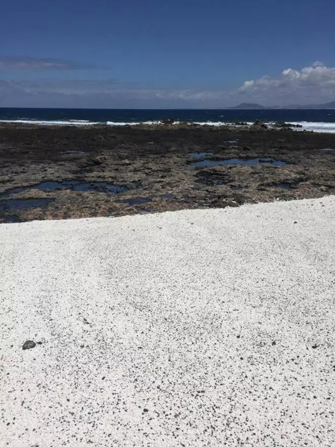La ULPGC estudia el impacto positivo de las 'roscas' en playas canarias