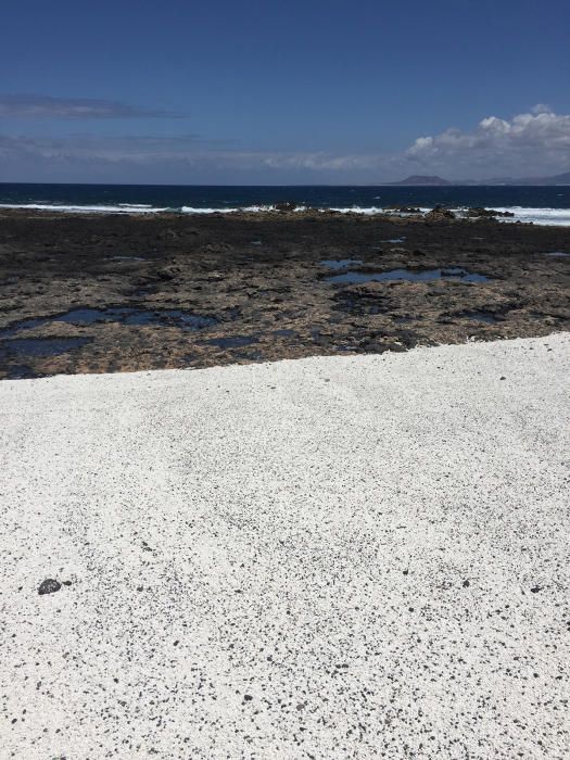 La La ULPGC estudia el impacto positivo de las 'roscas' en playas canarias