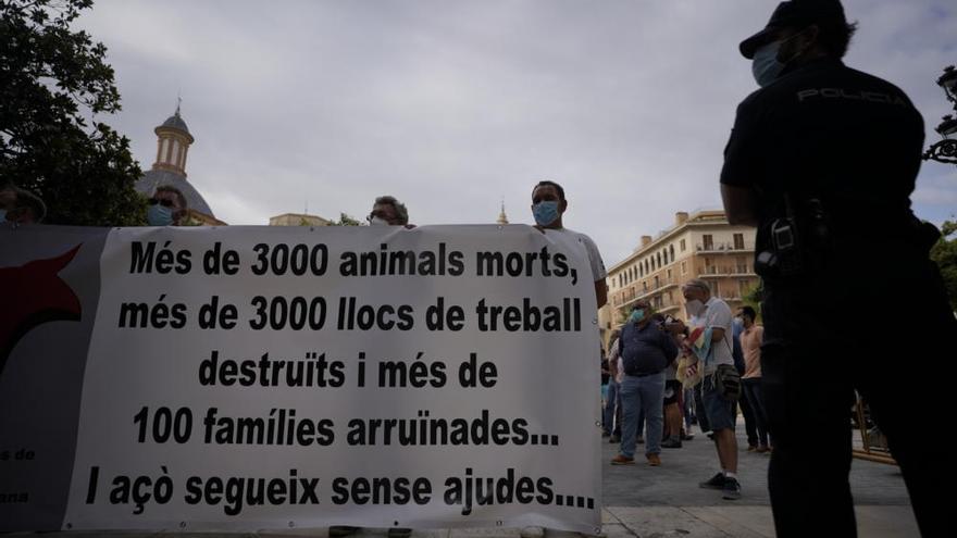 Protesta taurina y ganadera contra la falta de ayudas al sector en València