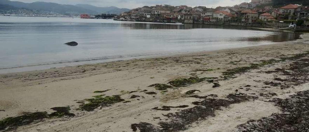 Playa de Padrón en Combarro, sin actividad extractiva. // Rafa Vázquez