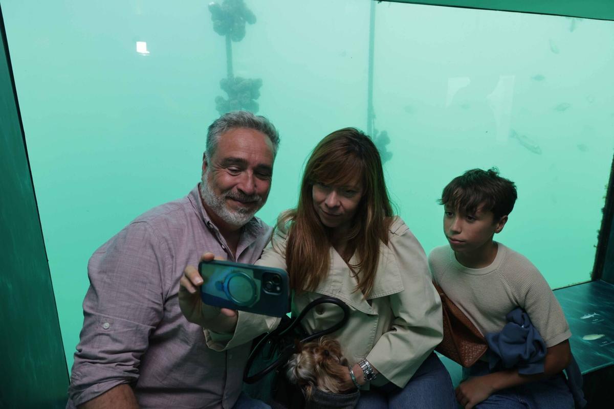 Abre «Atlántida», una ventana privilegiada para observar la riqueza de la ría de Vigo
