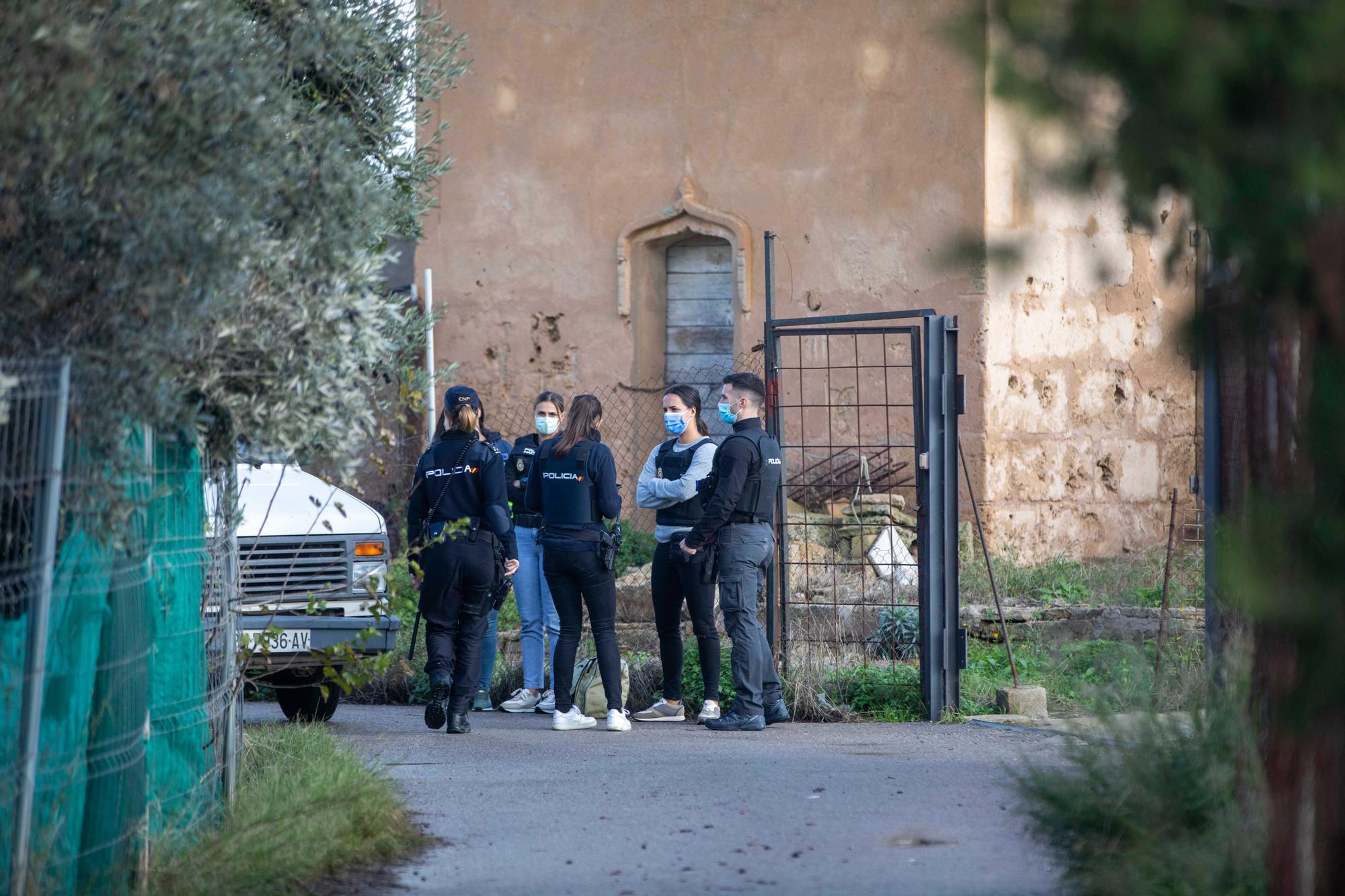 Siete detenidos en la redada contra la droga y el maltrato animal en Son Malferit