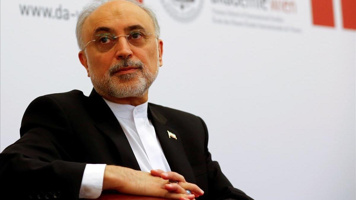 Ali Akbar Salehi, responsable de energía atómica de Irán.