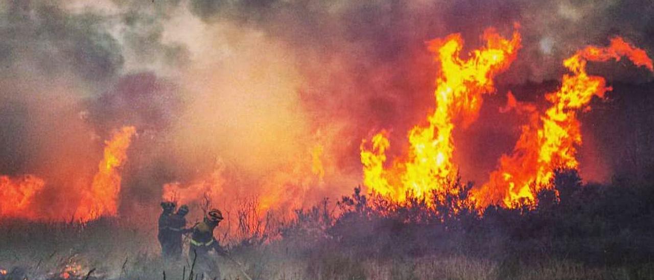 Una brigada de bomberos del Deza actuando en la madrugada del domingo en Salvaterra. |   // FDV