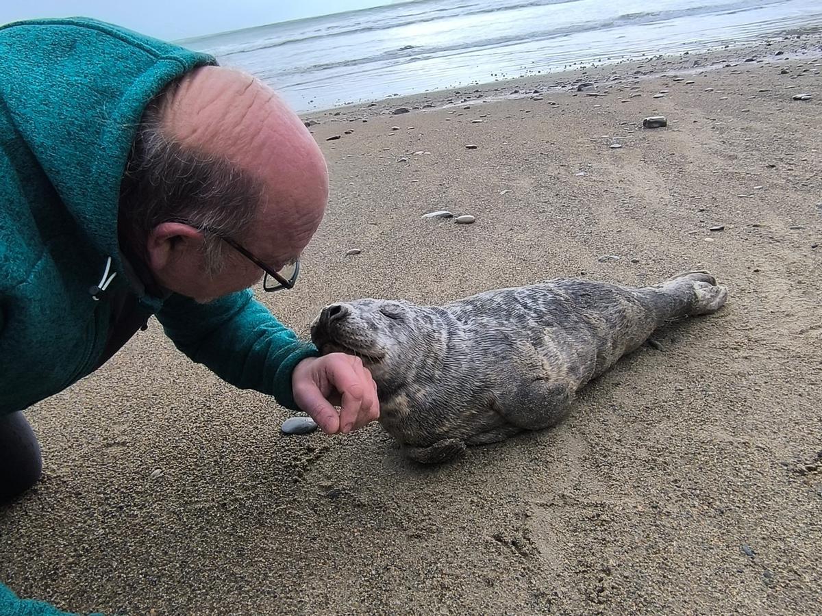 Luis Laria con la foca, en la playa de Cadavedo.