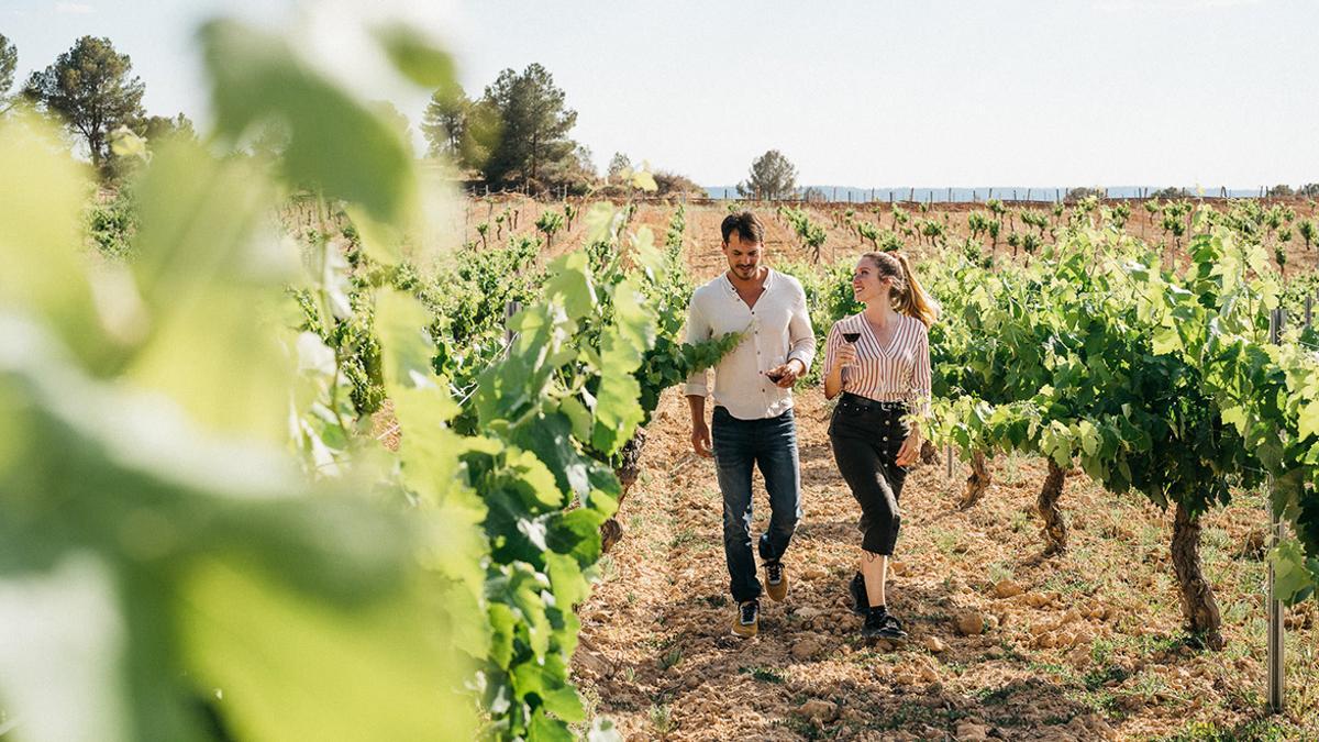 España es un mosaico vinícola, entre sus uvas tintas más emblemáticas destacan la bobal, la tempranillo y la garnacha