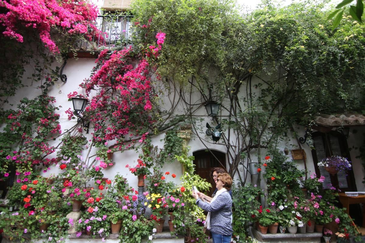 Paseando por los patios de San Pedro y Santiago