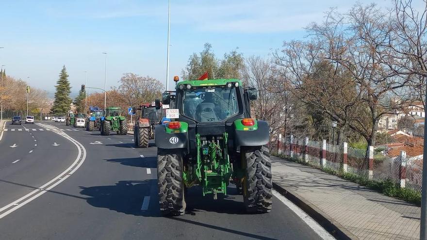 Tractores en la movilización de Cáceres esta mañana